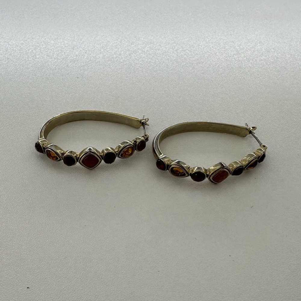 Premier Designs Gold and Brown Hoop Earrings